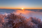 你见过雪后的峨眉山吗？简直像人间仙境