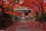 世界太浮躁 去京都的寺院听雨看枫静静心