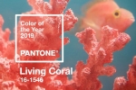 Pantone 2019年度色：8款珊瑚调口红提亮你的肤色