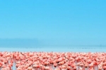 这些王室最爱的旅行地如此神奇