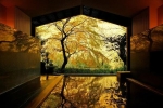 6家日本最美的赏枫酒店 睡在秋天的