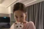 Jennie的甜辣风 现在努力下还能跟上吗