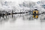 雪中的江南古韵与古画中的雪景 美得可以屏住呼吸