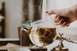 喝茶真的能刮油减肥吗？ 你想多了